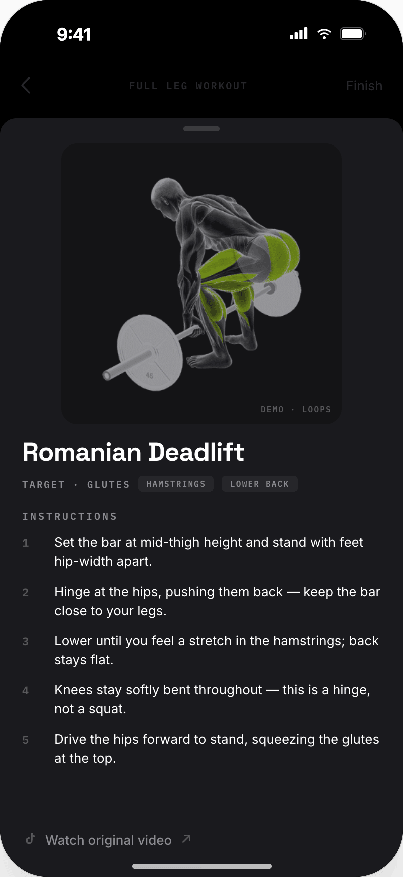The exercise guide — animated figure, working muscles lit, step-by-step form